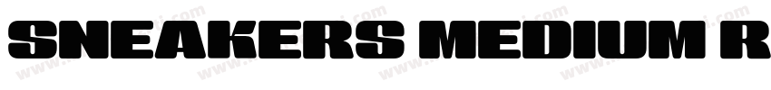 SNEAKERS MEDIUM REGULAR字体字体转换